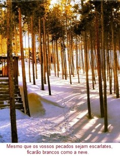 MesmoQueOsVossosPecadosSejamEscarlates