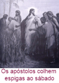OsApostolosColhemEspigasAoSabado