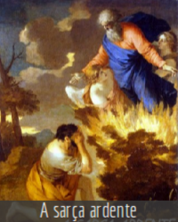 a_SarcaArdente