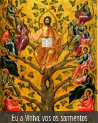 a_EuSouAVinha